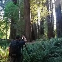 nickpagephotography