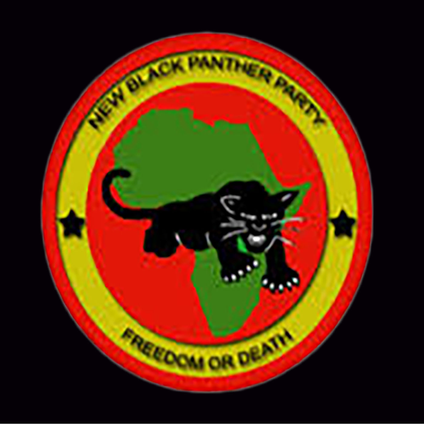 THE NEW BLACK PANTHER PARTY
