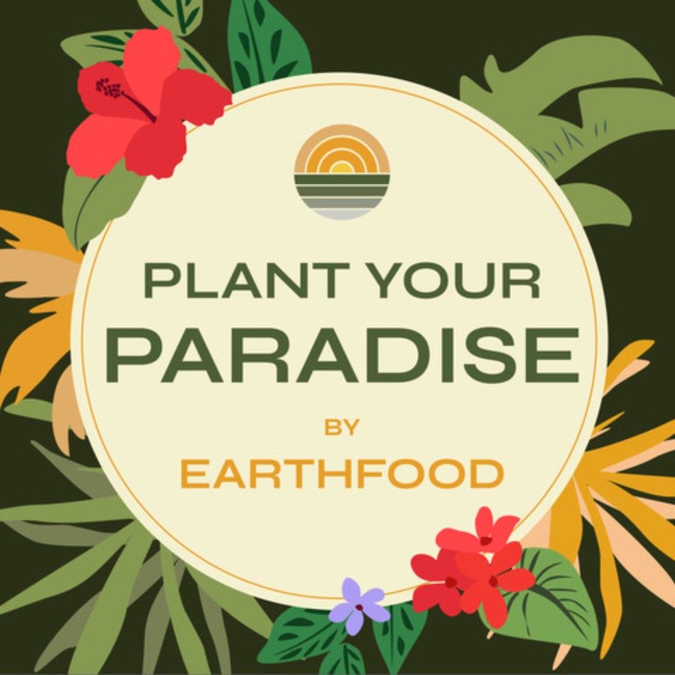 Plant Your Paradise by Earthfood