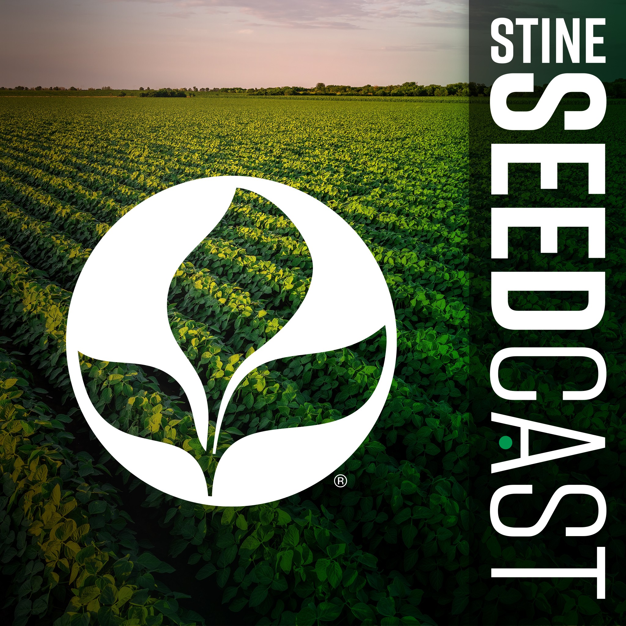 Stine Seedcast