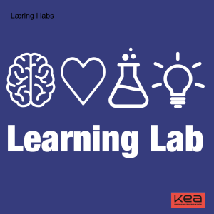#4 Læring i Labs - Laboratoriet minder os om hvad det at lære vil sige