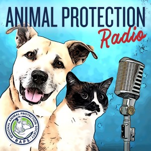 Animal Info Radio - A RAPS Podcast