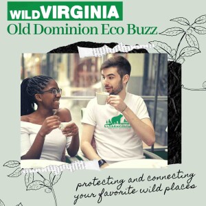 Wild Virginia Old Dominion Eco Buzz