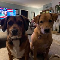 Faye Smith Greene Alexander