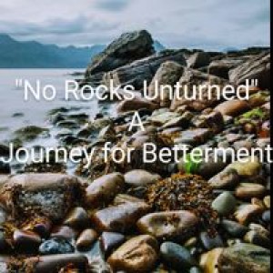No Rocks Unturned...A Journey For Betterment
