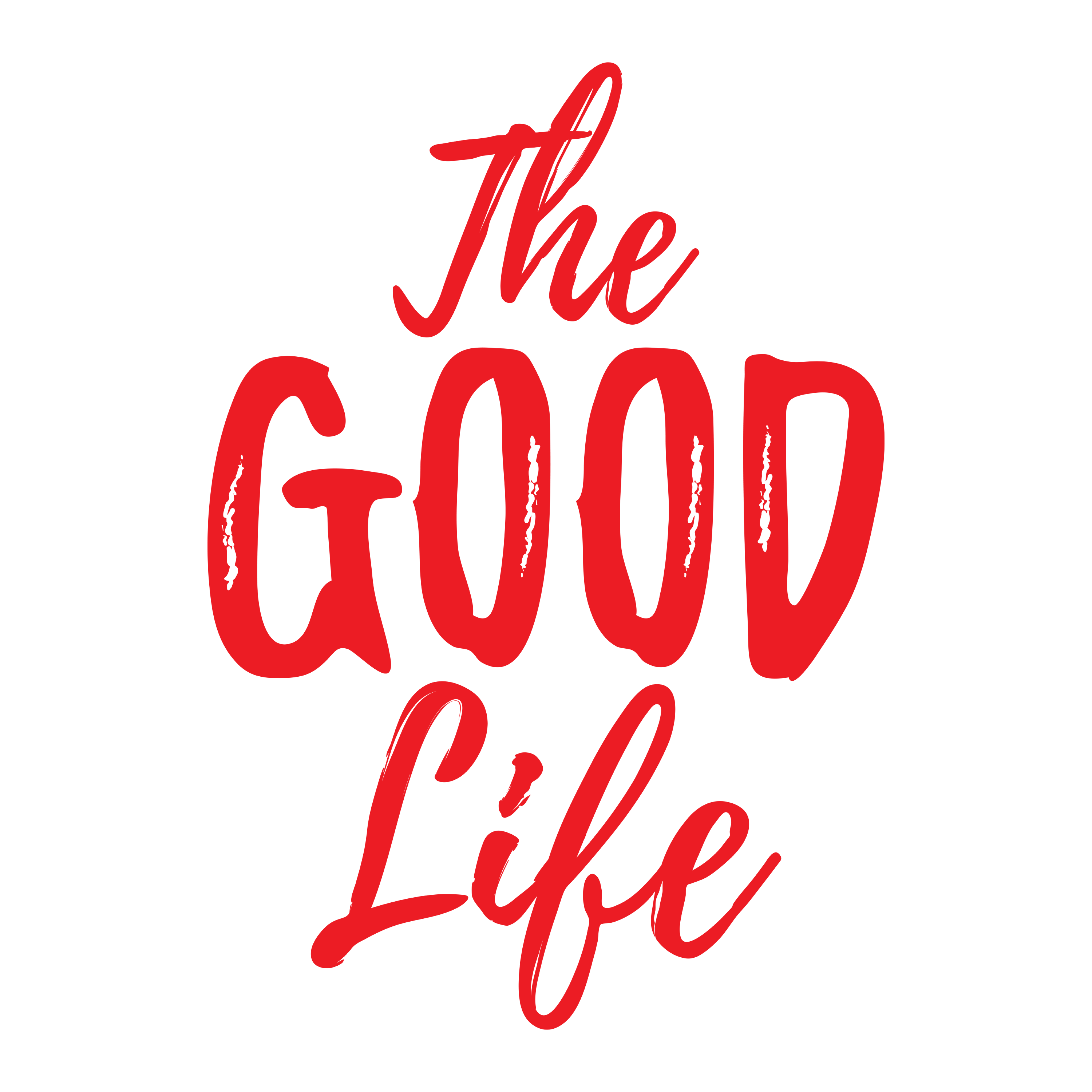 The Good Life: Andrew Leigh in Conversation