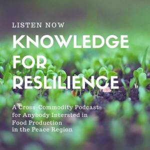 Knowledge For Resilience in the Peace