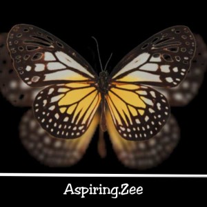 The AspiringZee’s  Life Coaching Podcast
