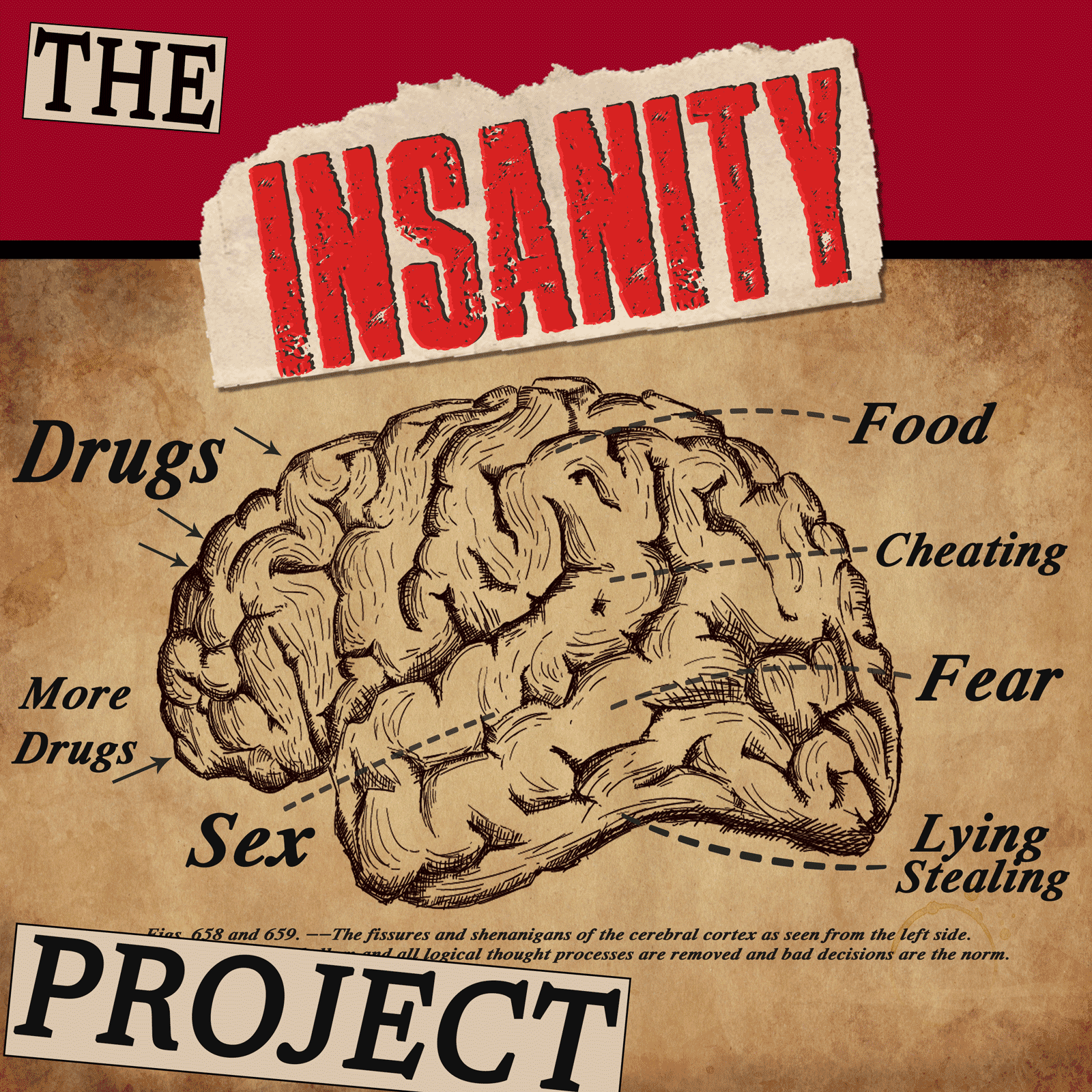 The Insanity Project