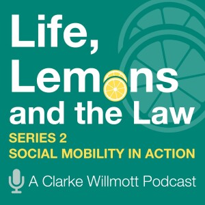 Life, Lemons and the Law