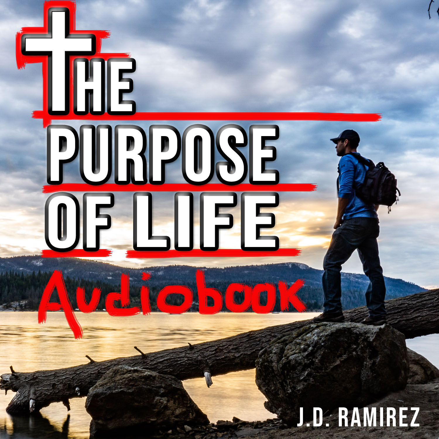 The Purpose of Life Audiobook