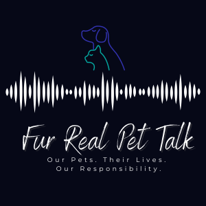 Episode 3 - Questions we need to ask before we get a new pet