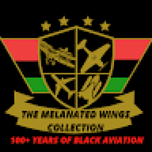 The Melanated Wings Collection Podcast