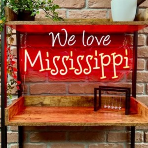 The Mississippi Fat Cat Report: WTVA Interview