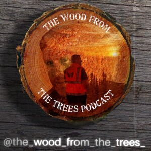 The Wood From The Trees Podcast Episode 1