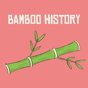Bamboo History