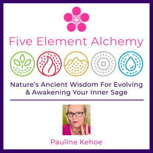 2.14 Complimentary Alchemical Lightning Transmission ~ March 19th