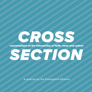 S6E12: Cross Section reviews 2023