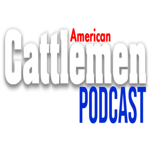 American Cattlemen Podcast