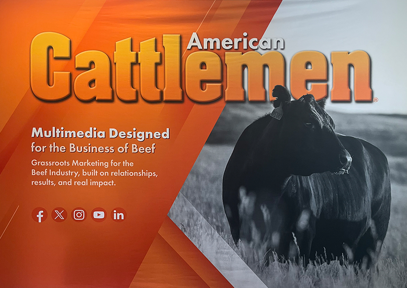 American Cattlemen Podcast