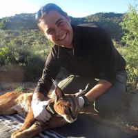 Victor Lizana Martin