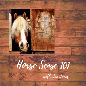 Episode 21 Horse Sense 101 Interview with Jack McComber
