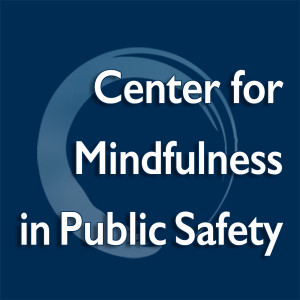 Mindful Public Safety