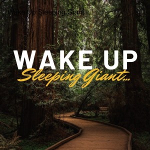 E8: Wake Up Sleeping Giant with guest Connor Hill