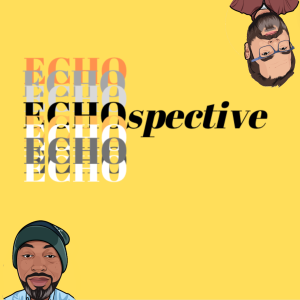Echospective