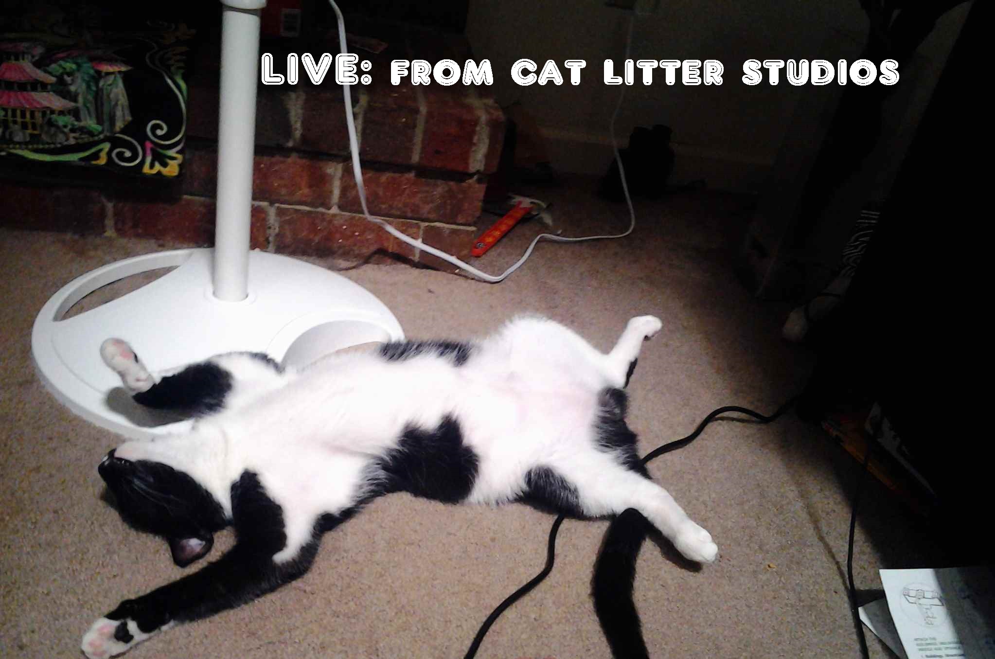 The Cat Litter Studios Podcast
