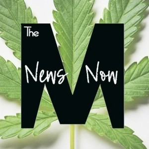 California Bill Could Cause Huge Problems, Trump Realizing Cannabis is King, SAFE Banking Optimism, Teen Use Down With Legalization, Florida & Ohio Inch Closer to Rec Use