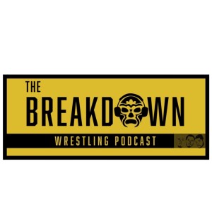 EPISODE 16 - WWE This AEW That...