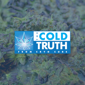 The Cold Truth by Cryo Cure Episode 5: From Seed to Success