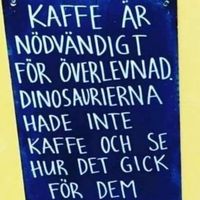 Priscilla Johansson Szebehely