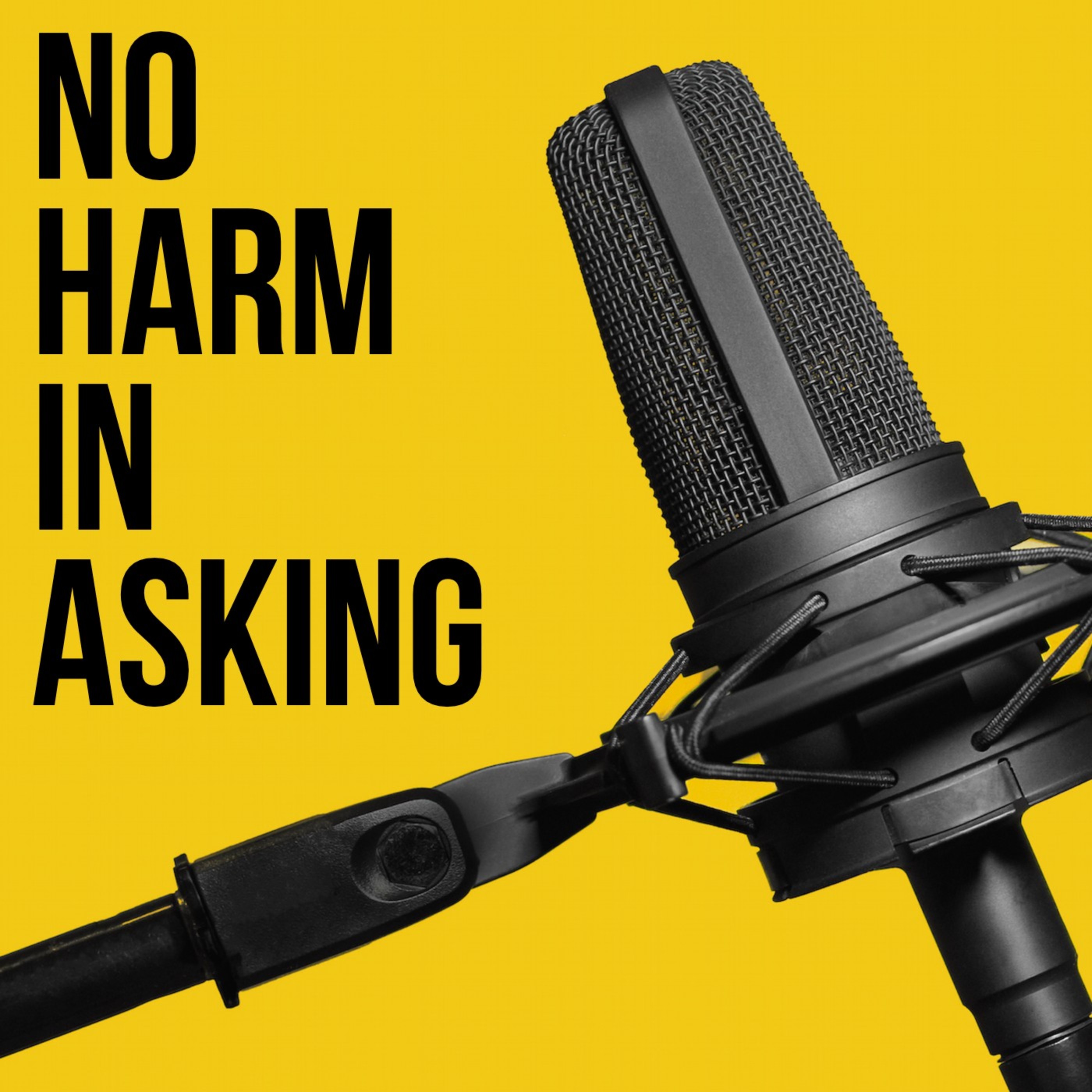 No Harm In Asking podcast show image