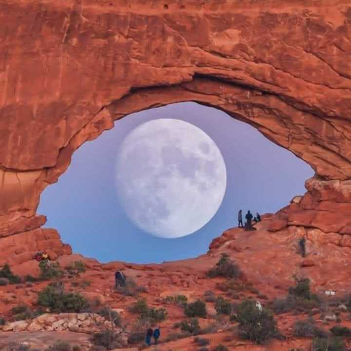 SamiUnique