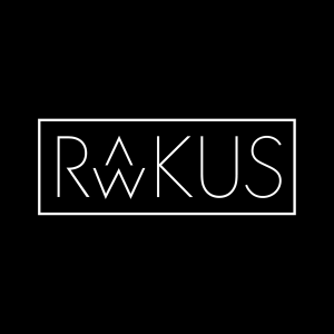 DJ Rawkus Remy