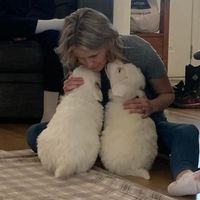 Nancy Sininger Clausen