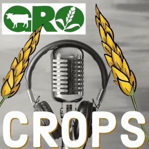Crop Talks - It’s All In The Seed with Sarah Foster