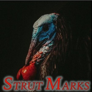 Strut Marks