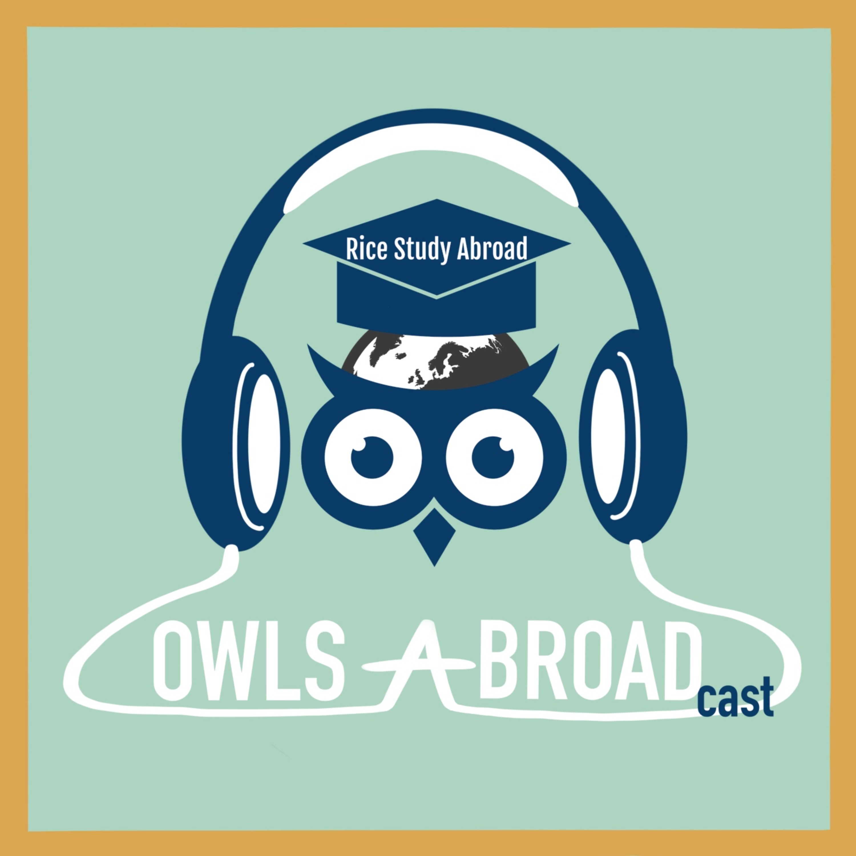 Owls Abroadcast