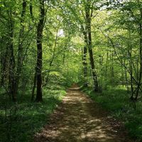 Oumoubinti Wa-ibni Ief