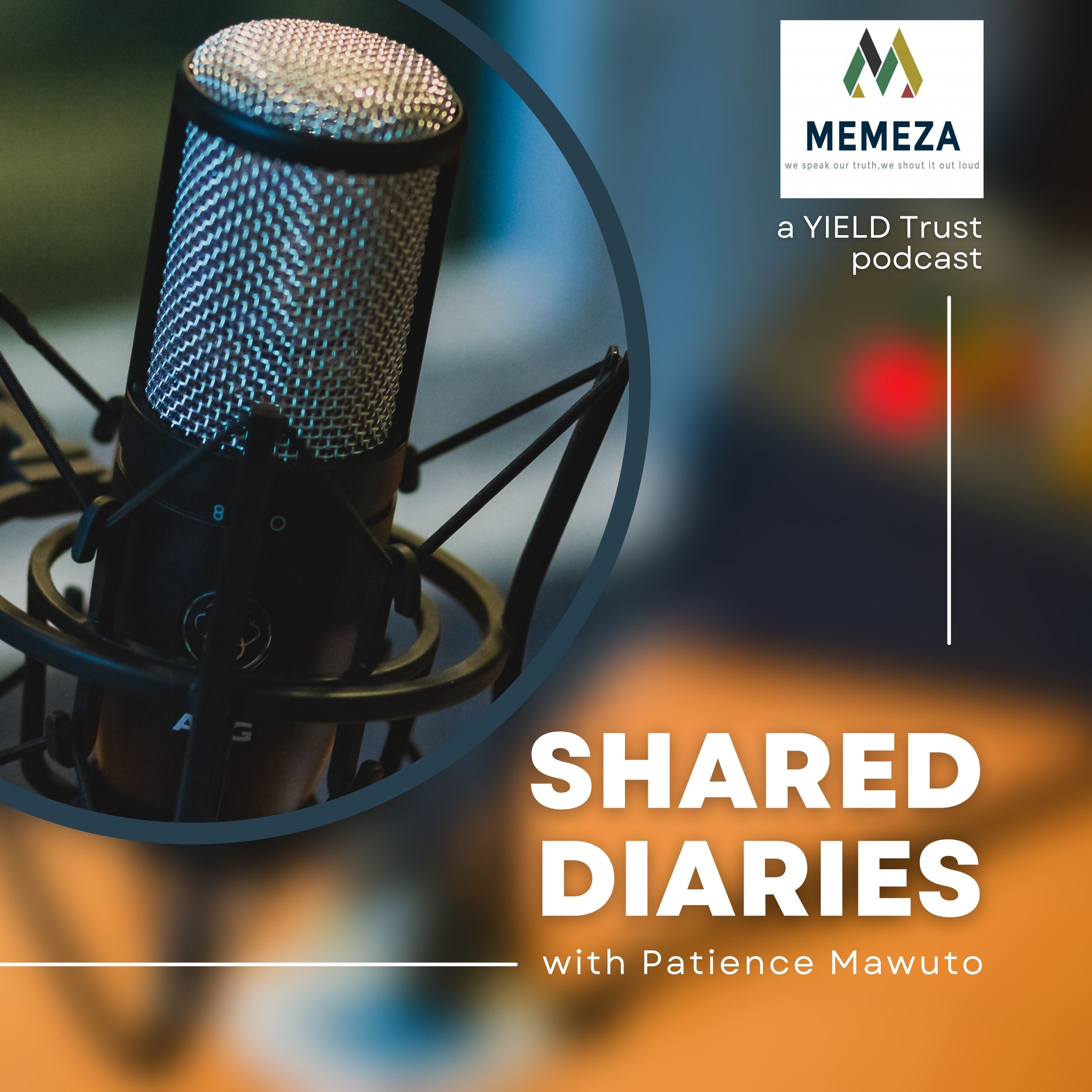 Shared Diaries Podcast with Patience Mawuto