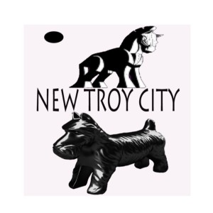 NEW TROY CITY