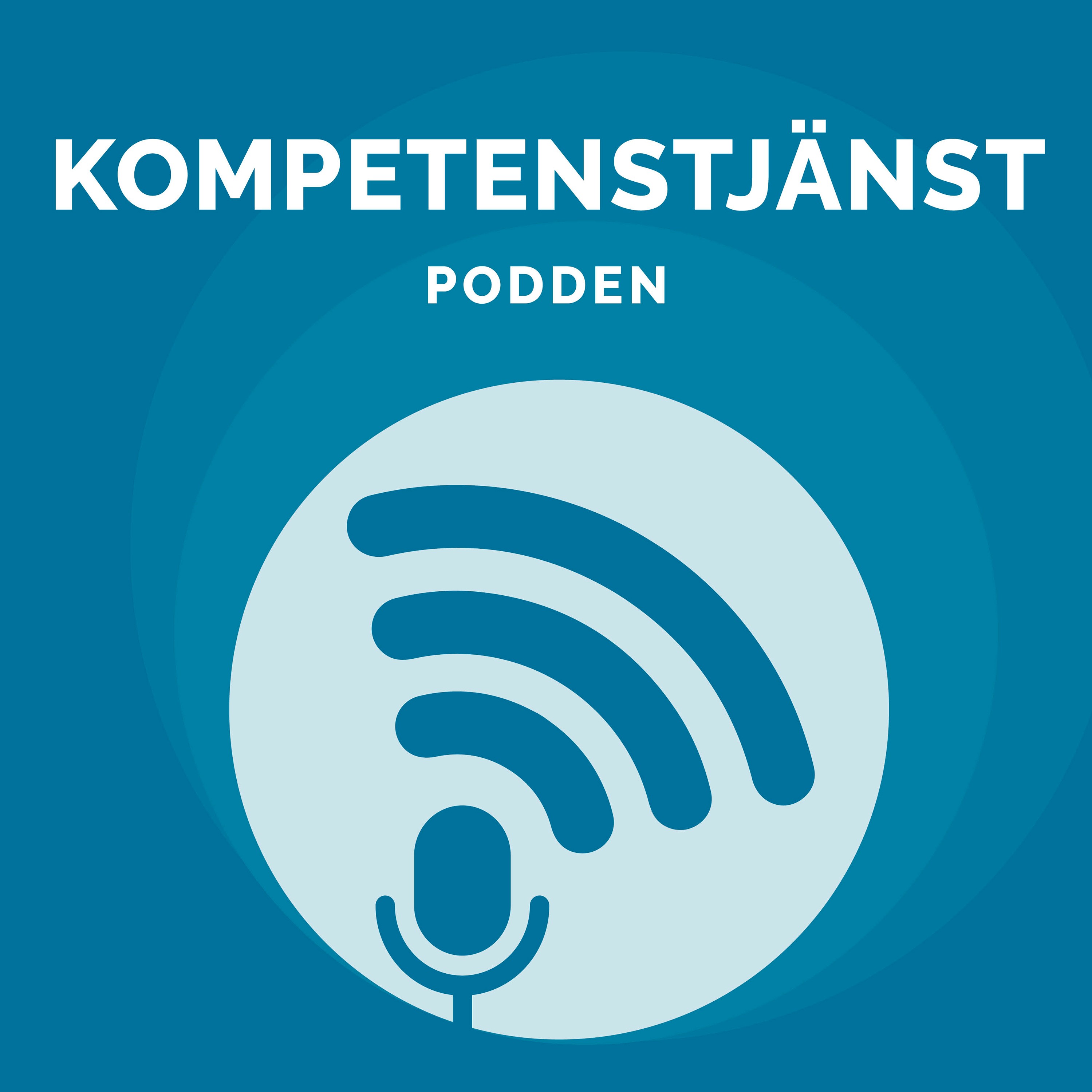 Bild för Minska kulturkrockar genom förståelse av värderingar och fördomar (Kort avsnitt)
