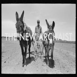 newarchaist