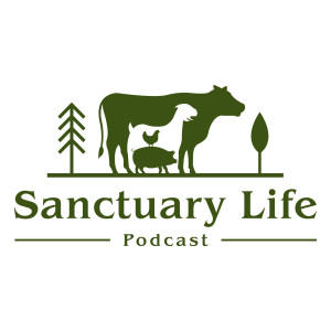 Episode 4 - The Troll House Animal Sanctuary