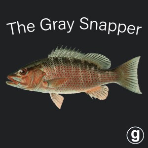 The Gray Snapper Introduction