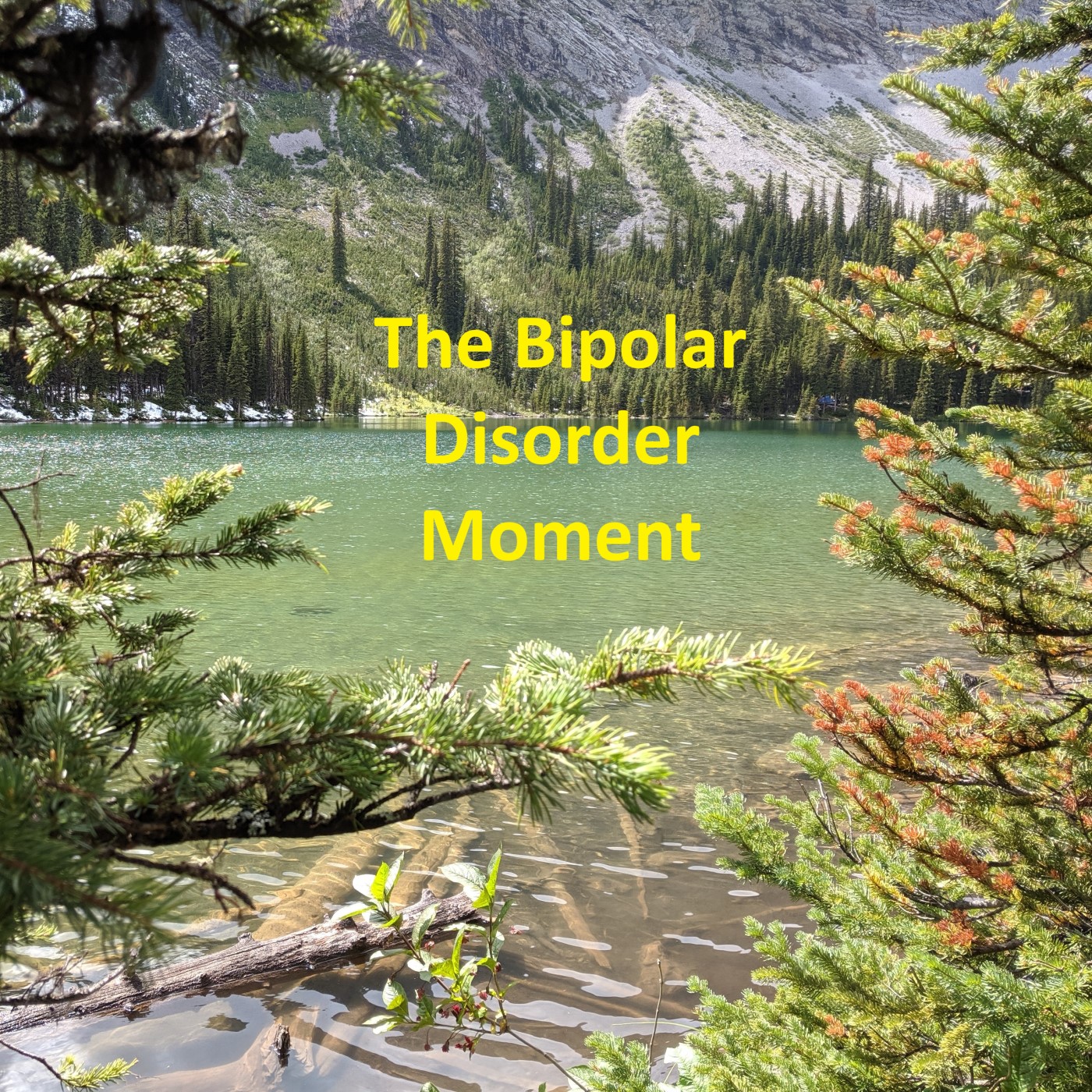 The Bipolar Disorder Moment
