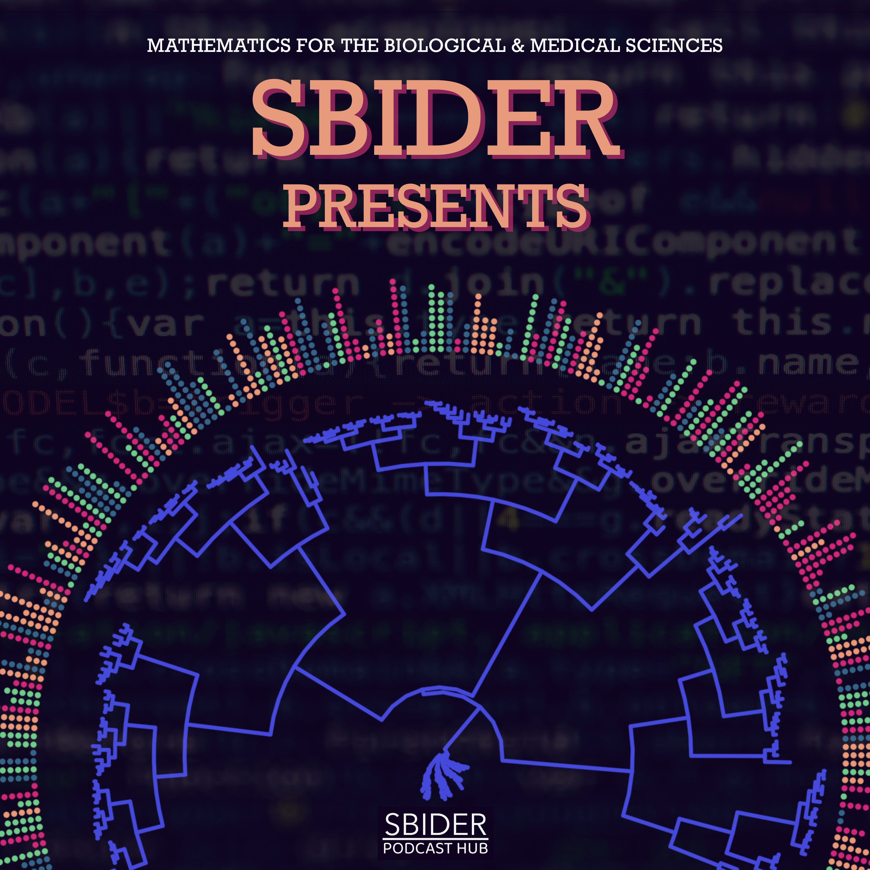 SBIDER presents